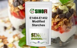 Modified Starch Modified Starch