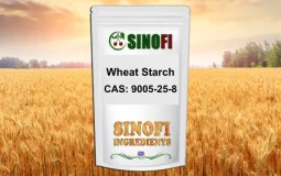 Wheat Starch Wheat Starch