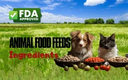 Feed Additives Feed Additives