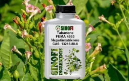 Megastigmatrienone (Tabanone) Megastigmatrienone (Tabanone)