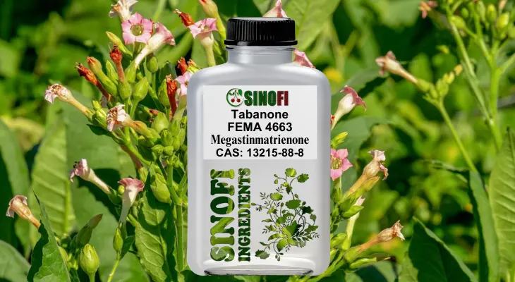 Megastigmatrienone (Tabanone) Megastigmatrienone (Tabanone)