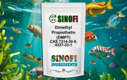 Dimethylpropiothetin (DMPT) Dimethylpropiothetin (DMPT)