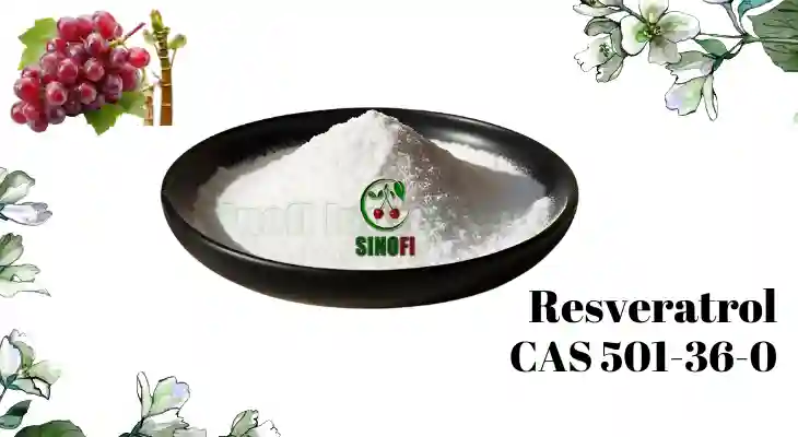 resveratrol-powder-501-36-0