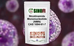 Nicotinamide Mononucleotide (NMN) Nicotinamide Mononucleotide (NMN)