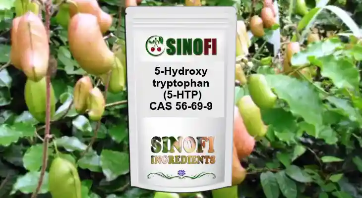 5-HTP Powder 5-HTP Powder